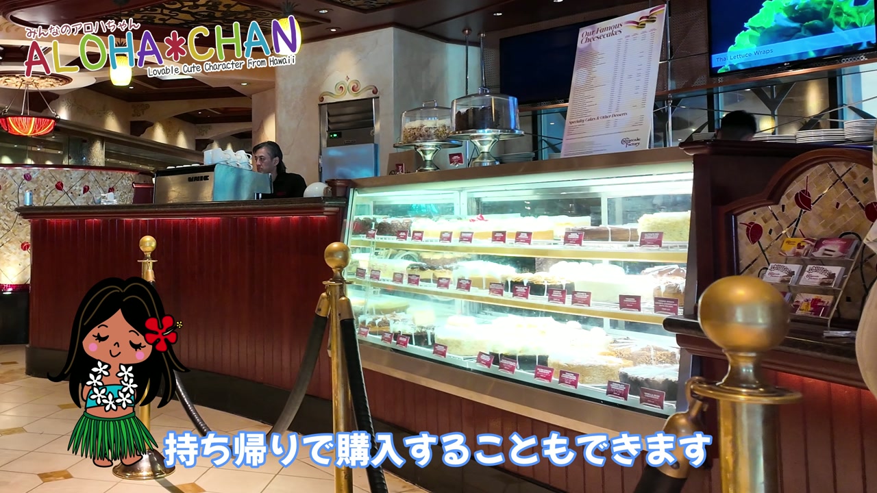 店内の雰囲気・メニュー紹介