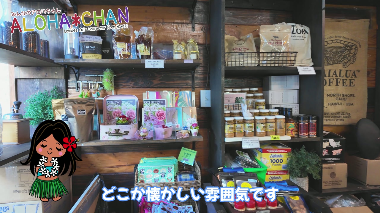 店内を散策！魅力的な商品がたくさん