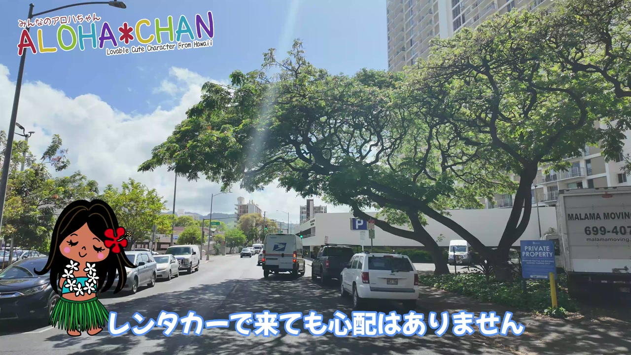 ドンキホーテはもう目の前