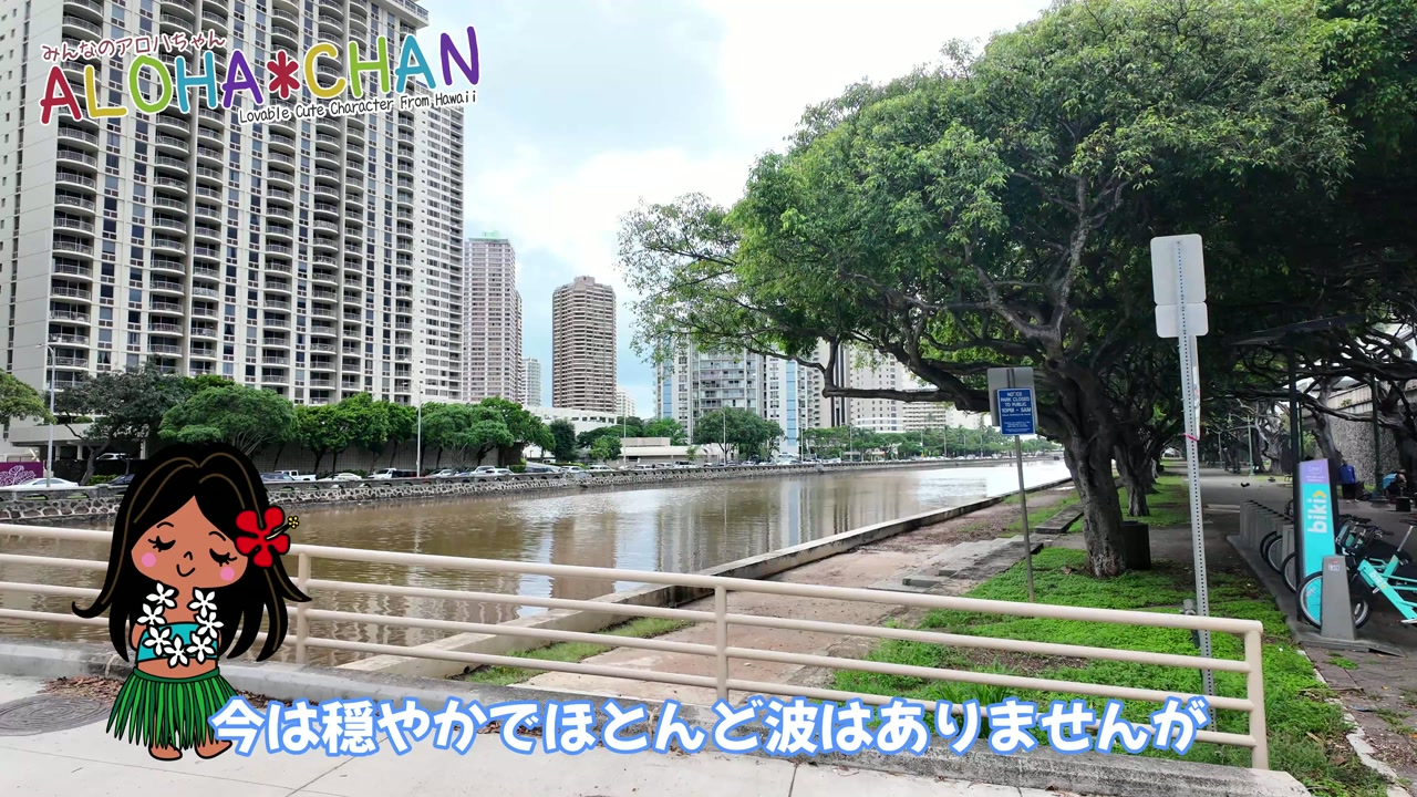 アラワイ運河に到着・運河の氾濫の様子