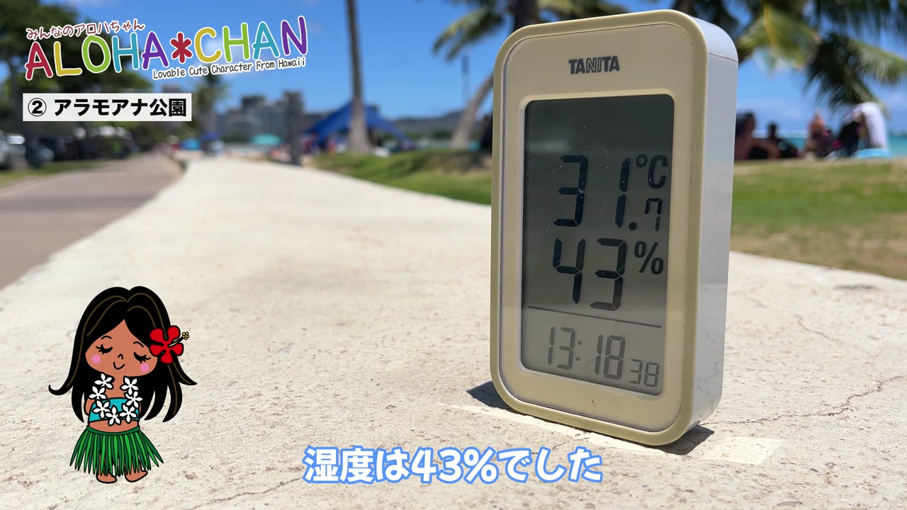 アラモアナ公園測定開始