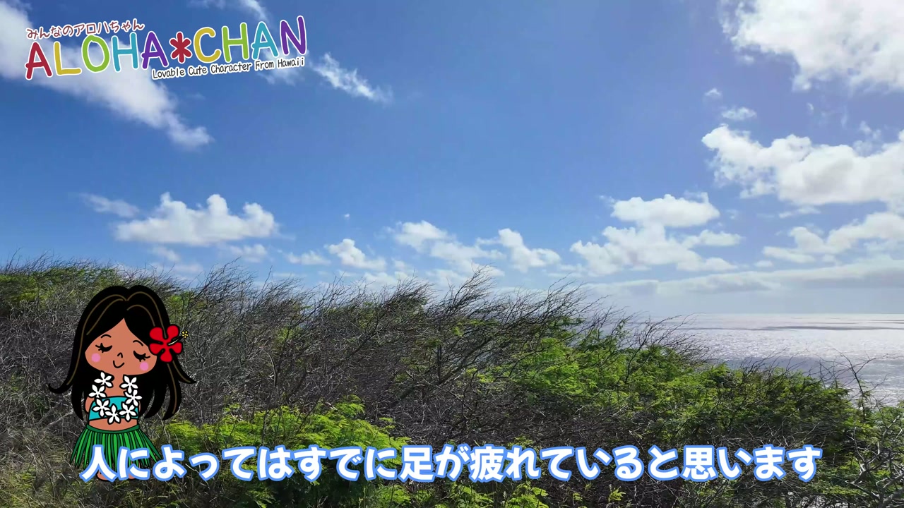 まだまだ序盤です