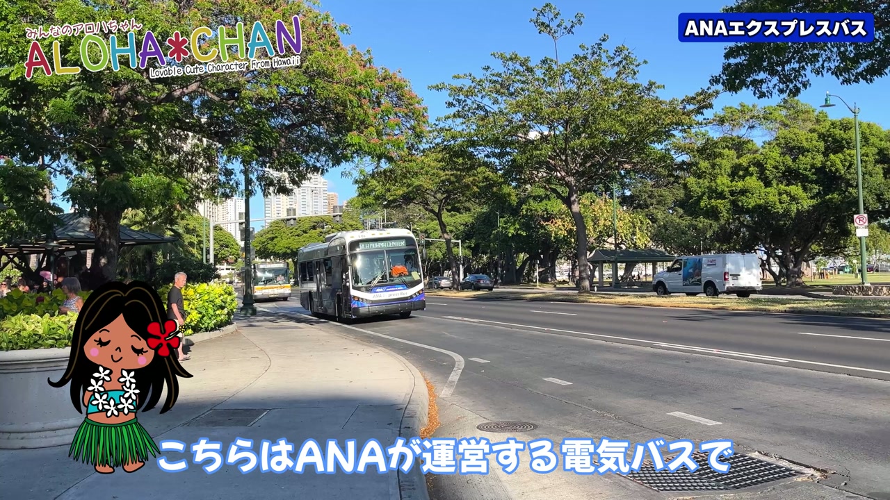 ANAエクスプレスバス