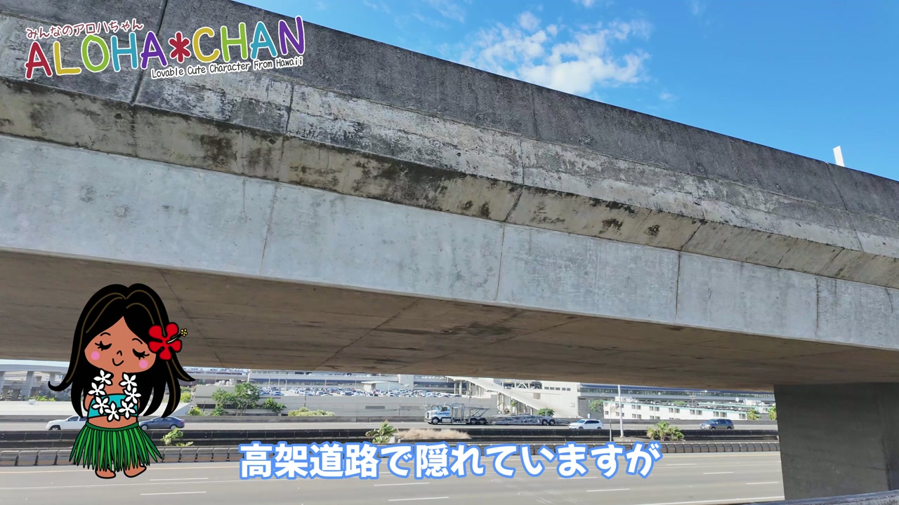 空港周辺の様子