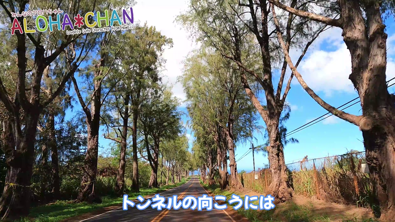 ちょっと楽しい木のトンネル