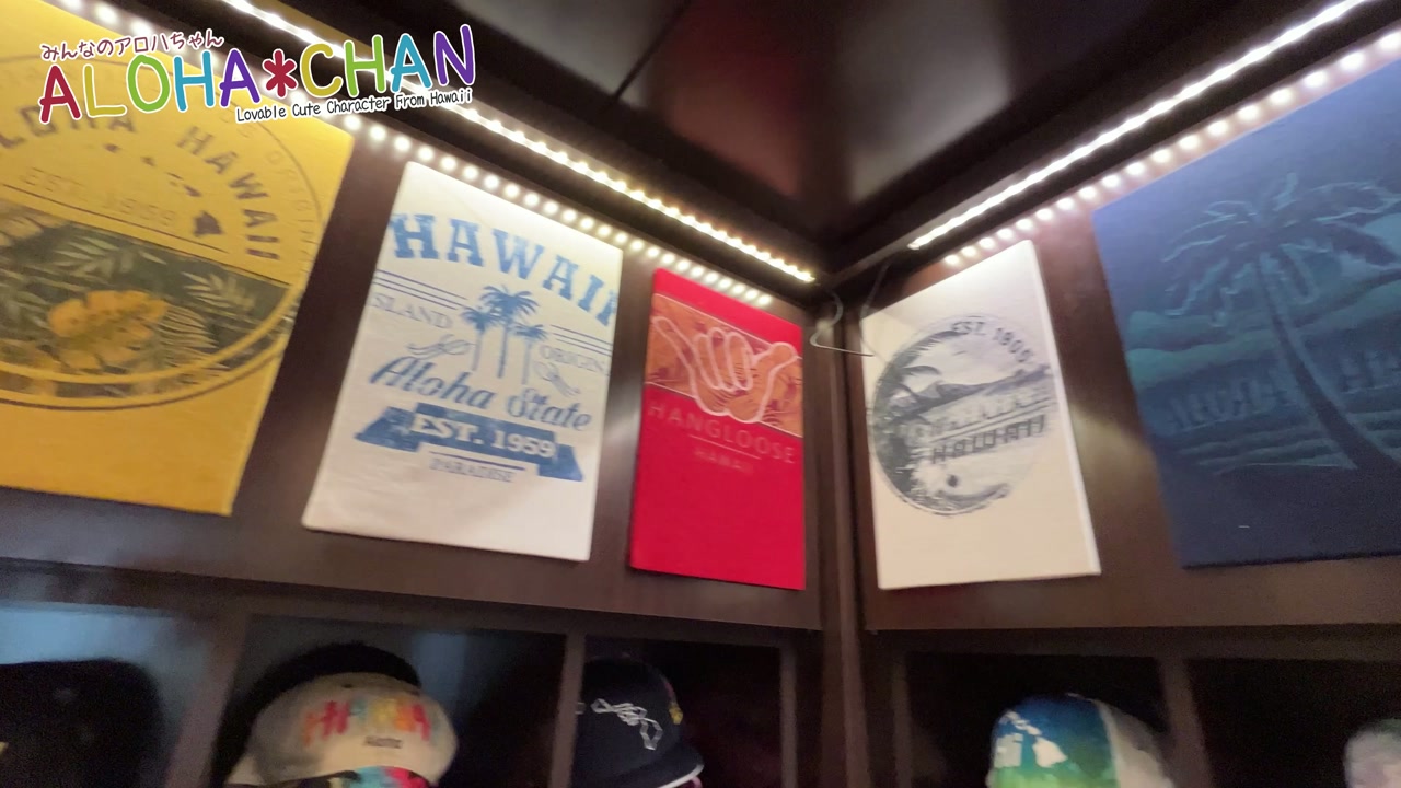衣類・Tシャツ・帽子・ビーチサンダル・浮き輪