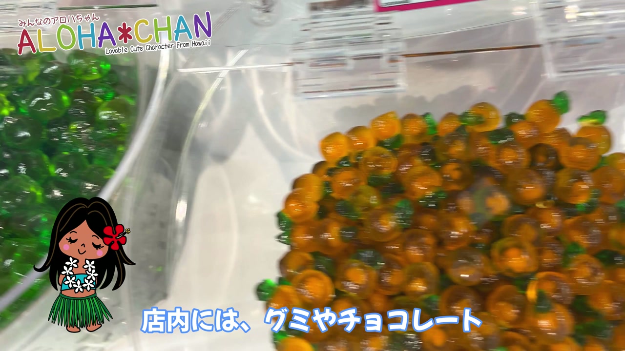 早速中に入ってみましょう