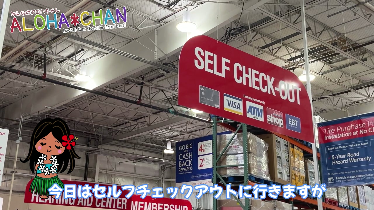 支払いは現金とVISAのみ対応