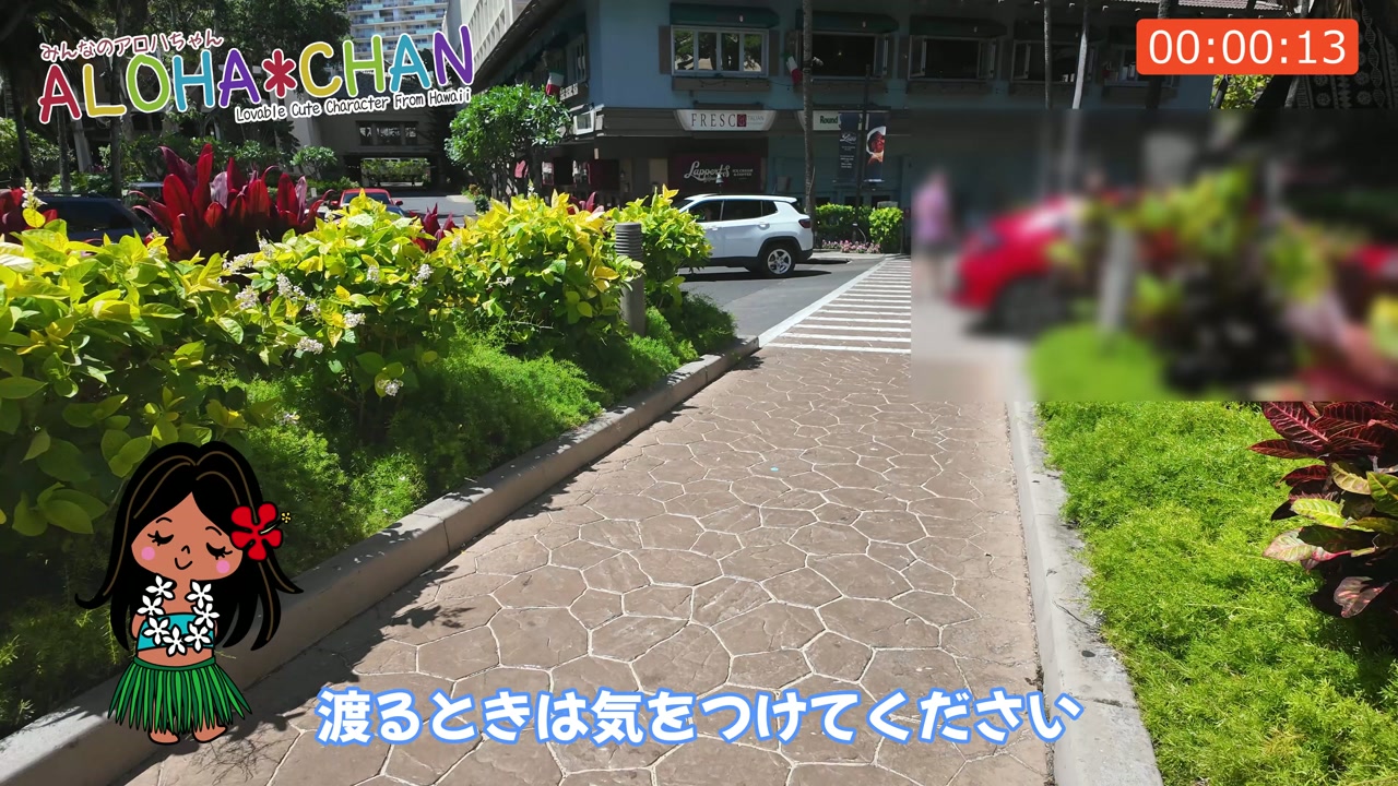 エントランス周辺