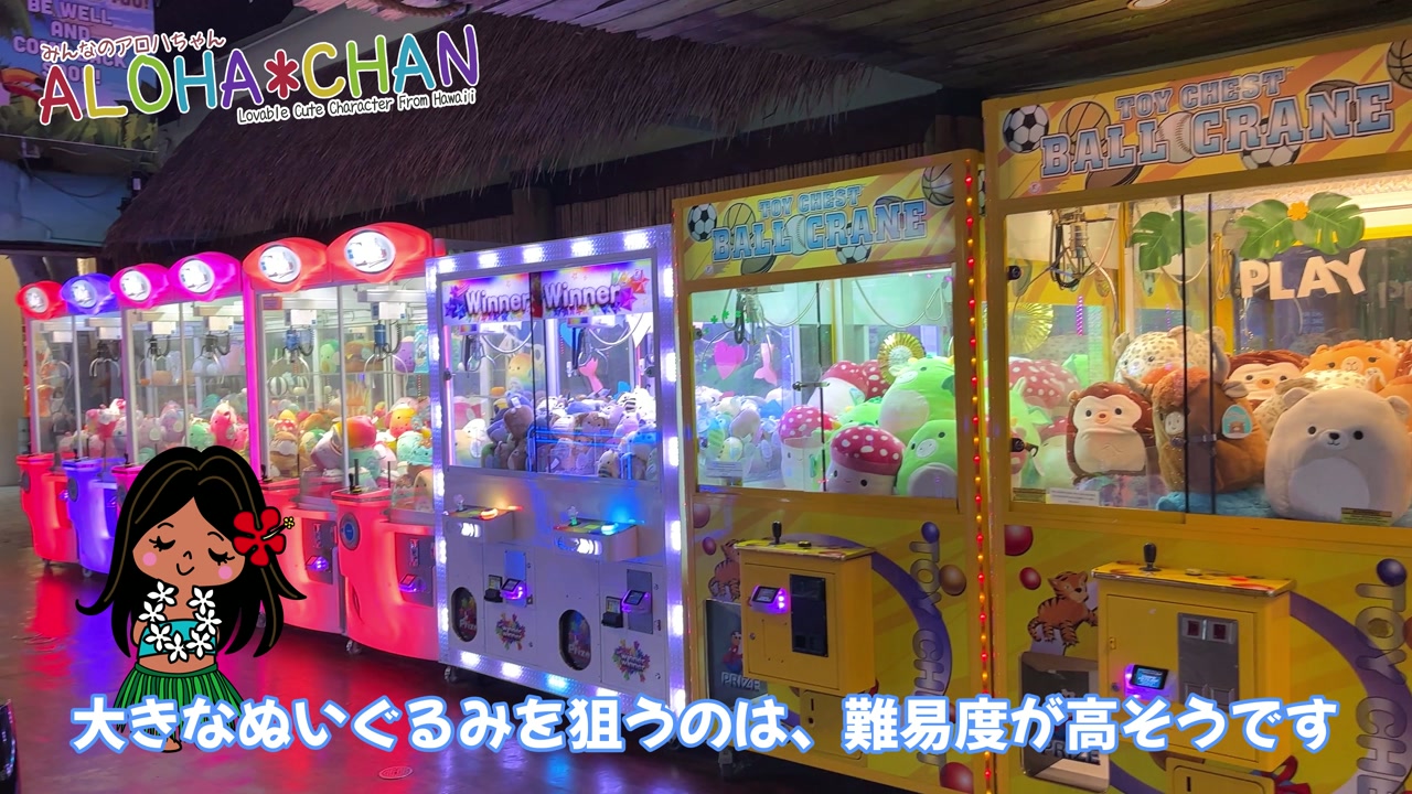 子供向けに様々な仕掛けが