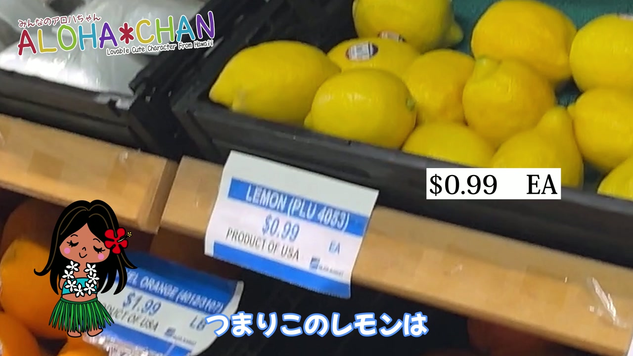 日本の商品