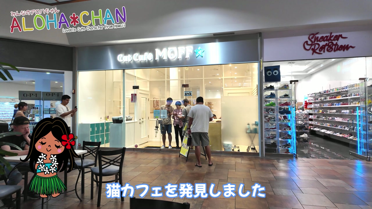 猫カフェ