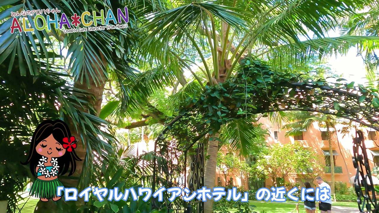 ココナッツグローブ