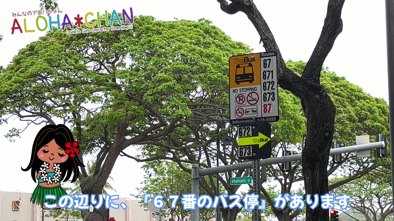 『６７番のバス停』