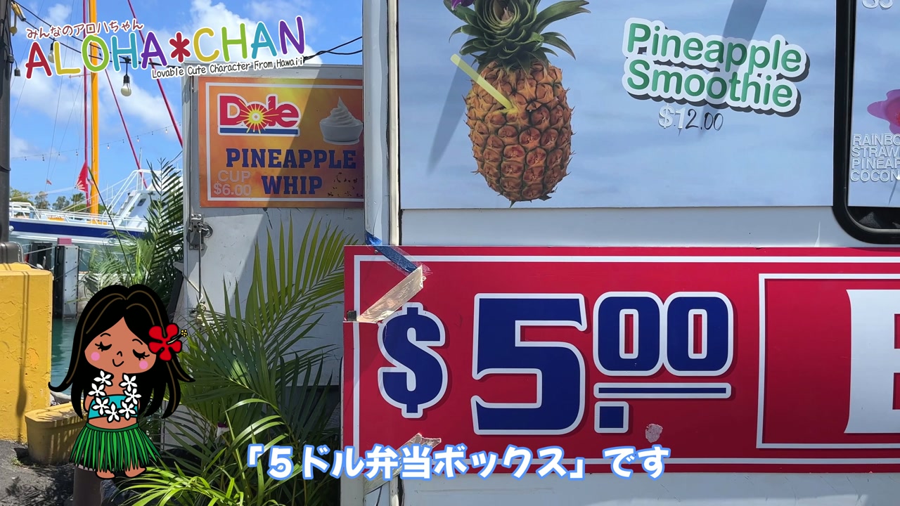 ５ドル弁当ボックス