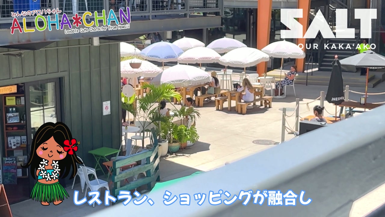 第9位 ソルト