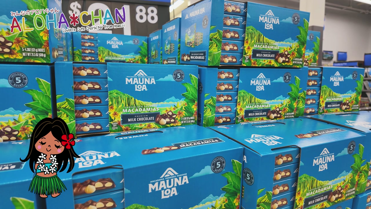 マカデミアナッツお土産最新のお値段