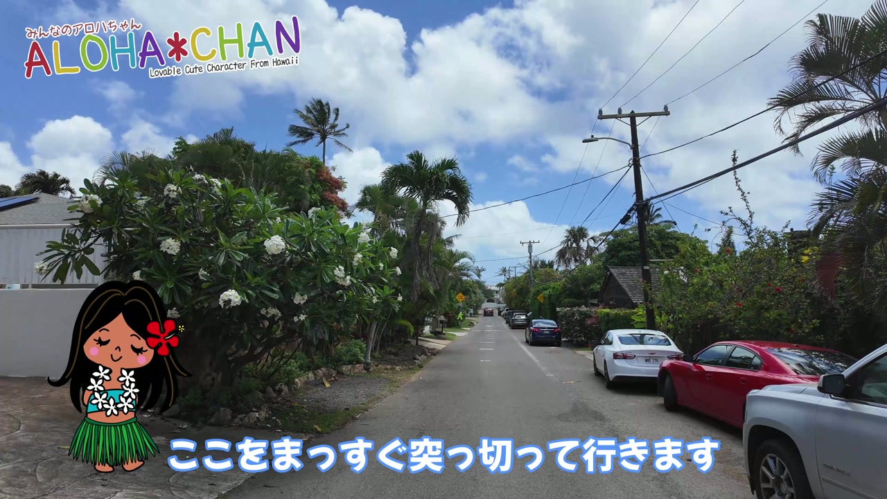 ラニカイビーチへ
