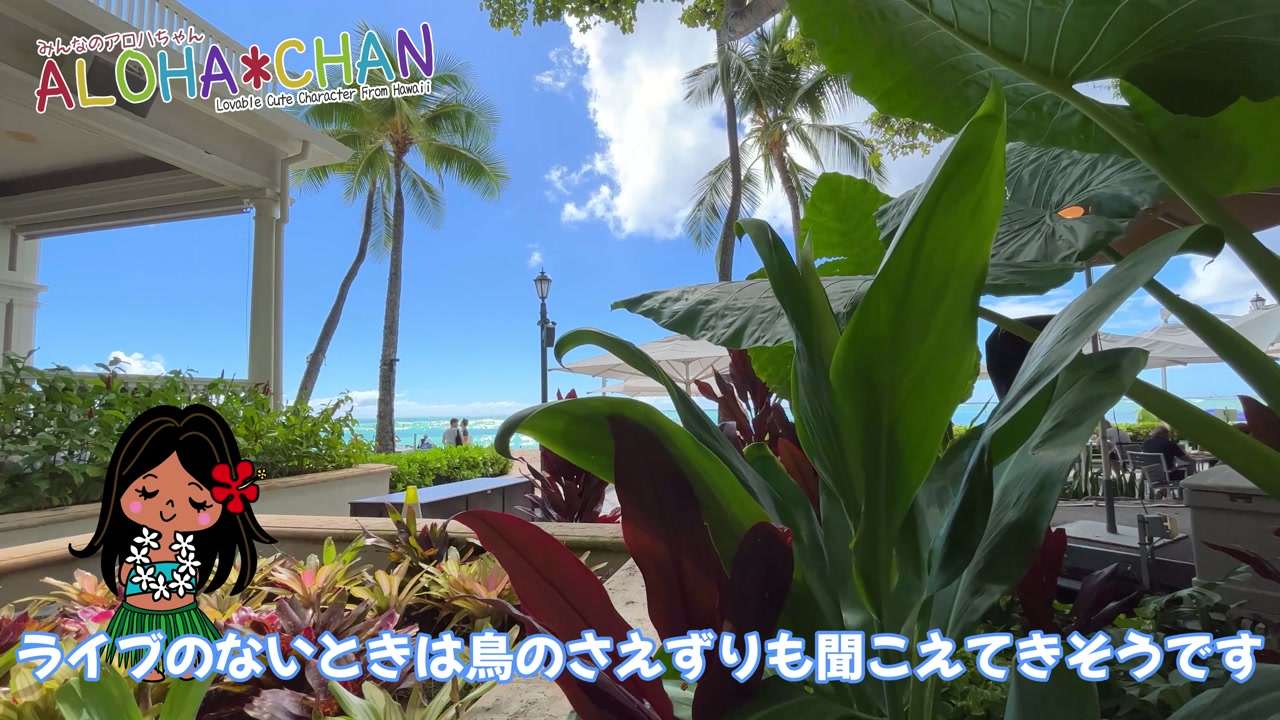 ビーチバー