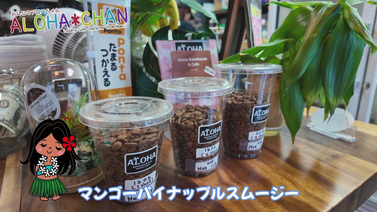 今回の注文品を紹介