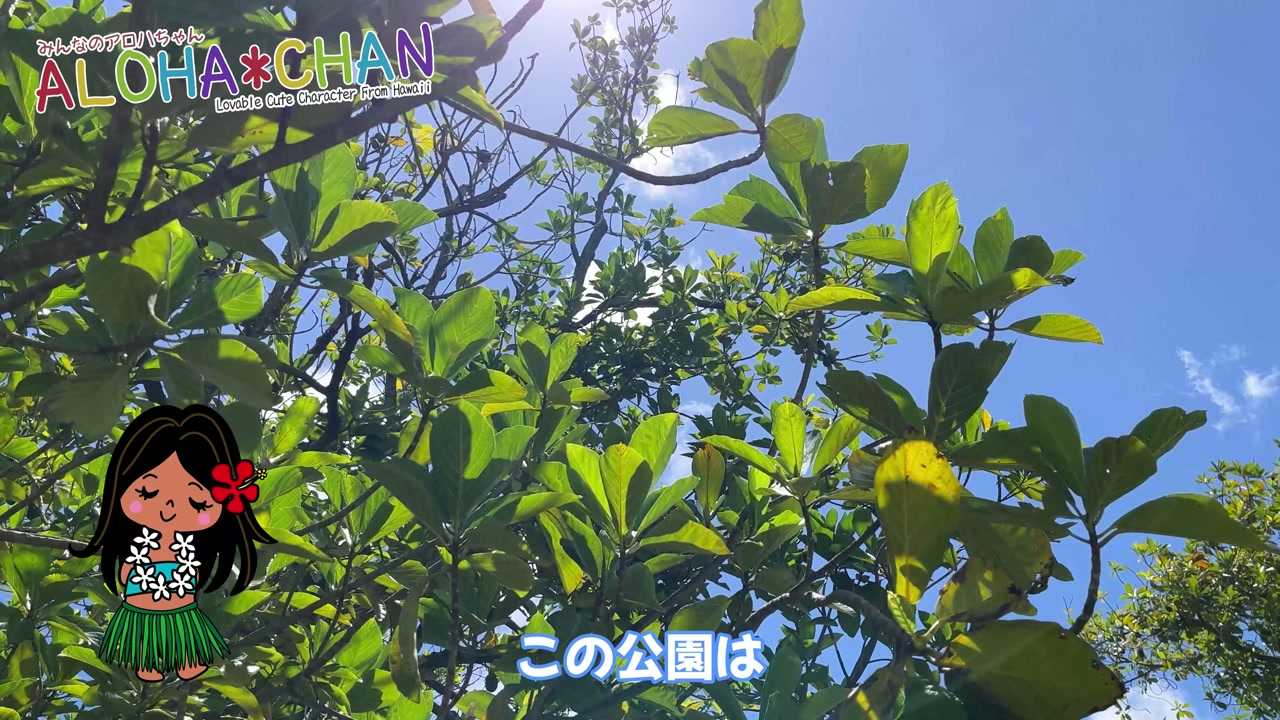 公園を散策