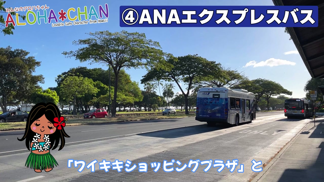 🚎ANAエクスプレスバス
