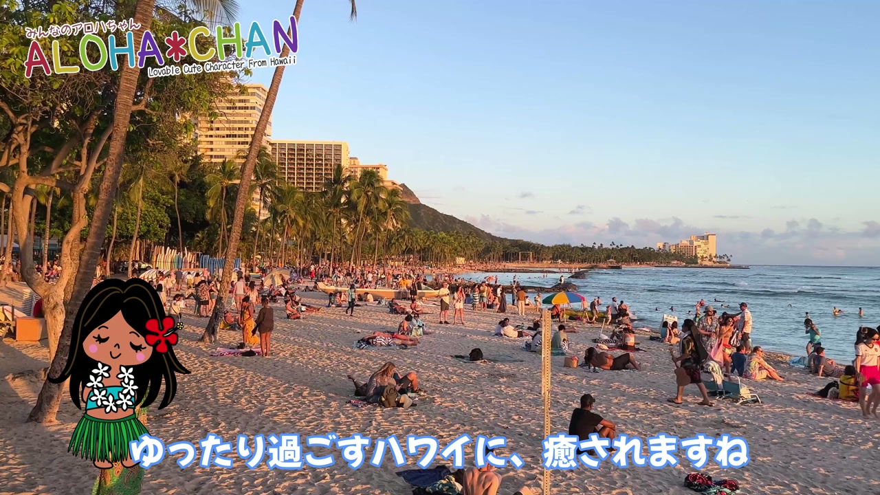 ハワイに、癒されます