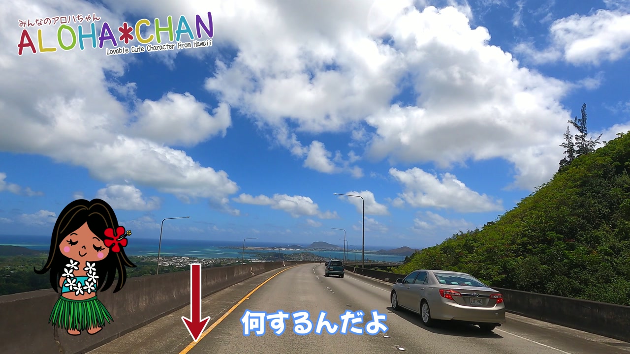 別の日の映像
