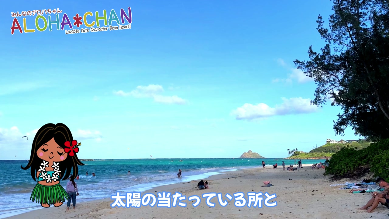 理由その１