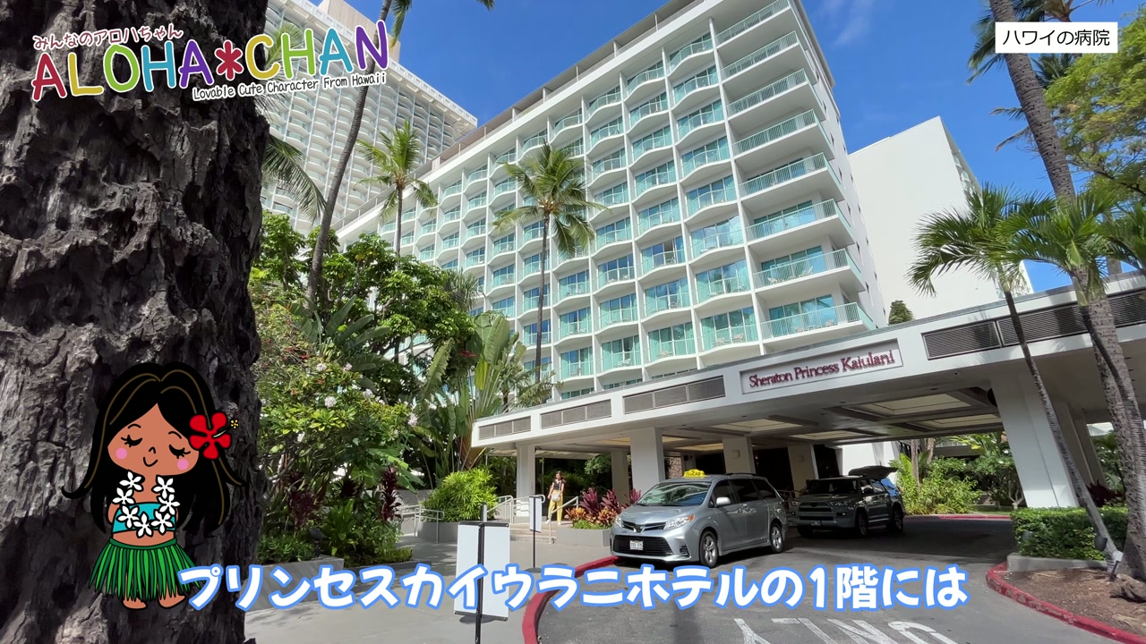 ドクターオブワイキキ