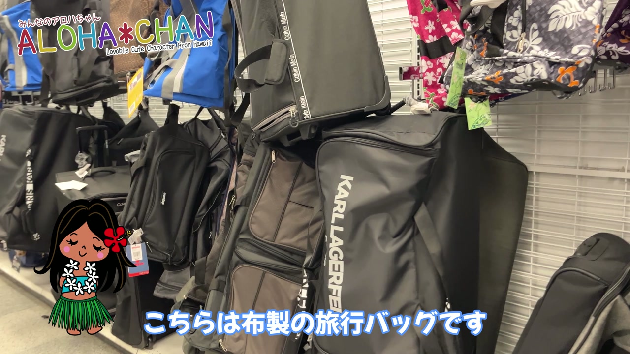 布製の旅行バッグ
