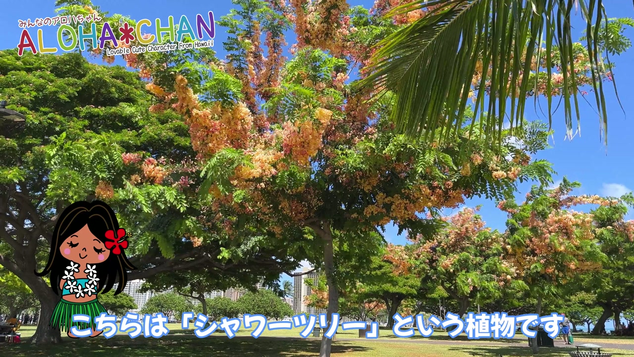 シャワーツリーの話