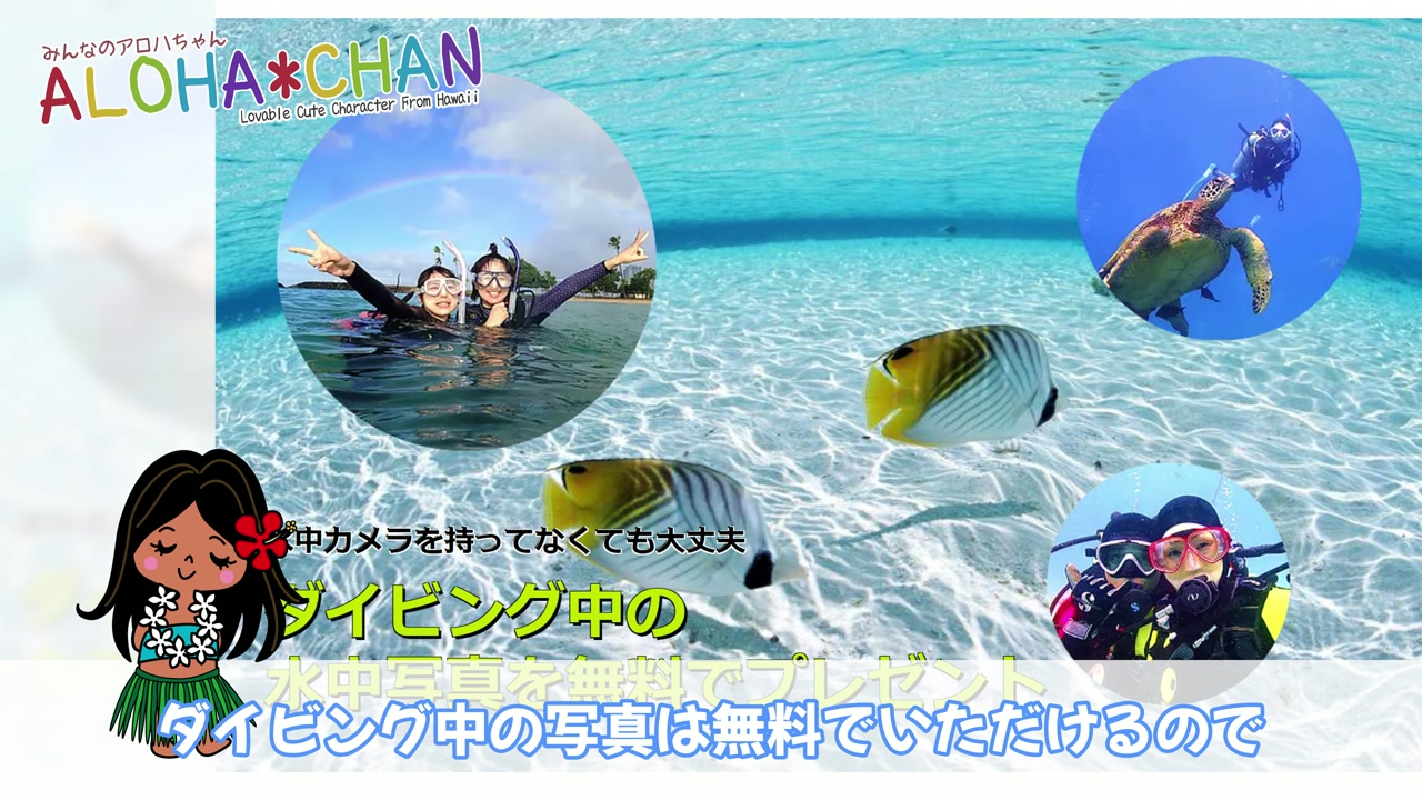 ダイビング中の写真は無料