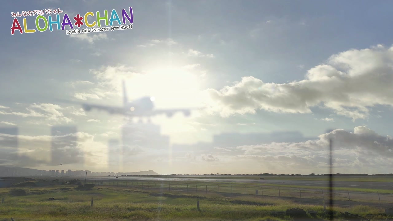 ✈️フライングホヌA380