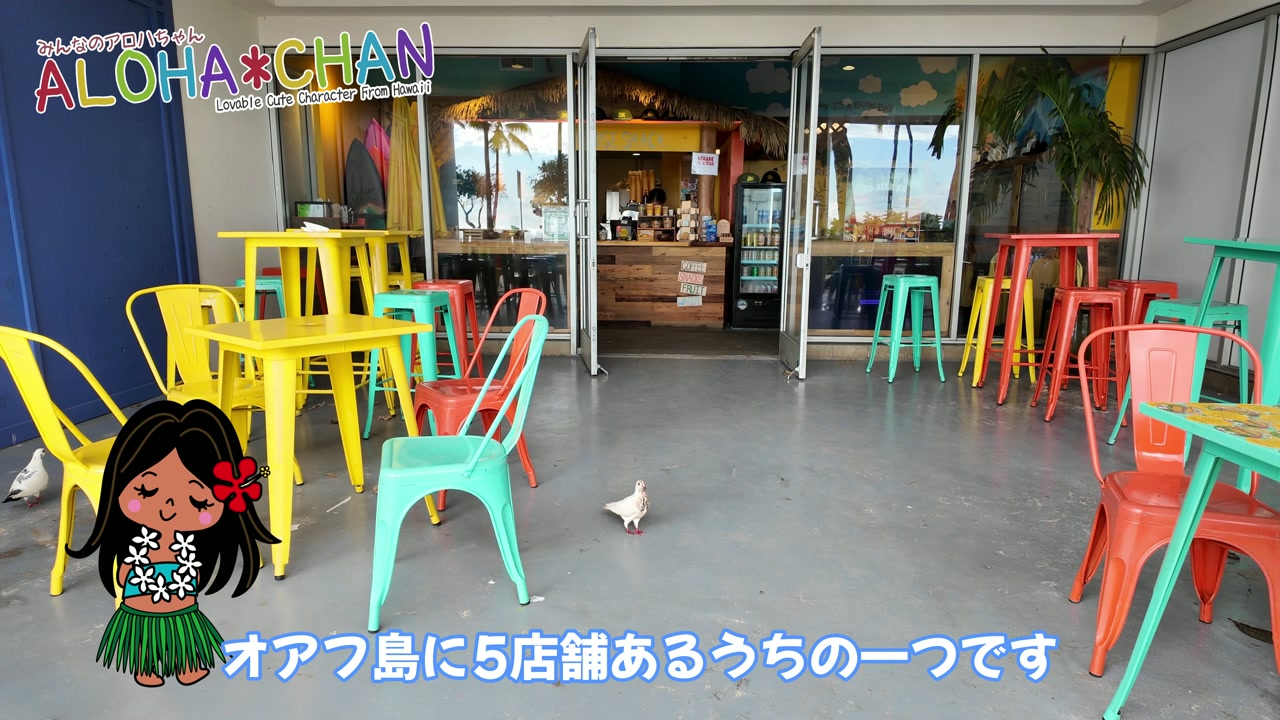 「サンライズシャック」紹介