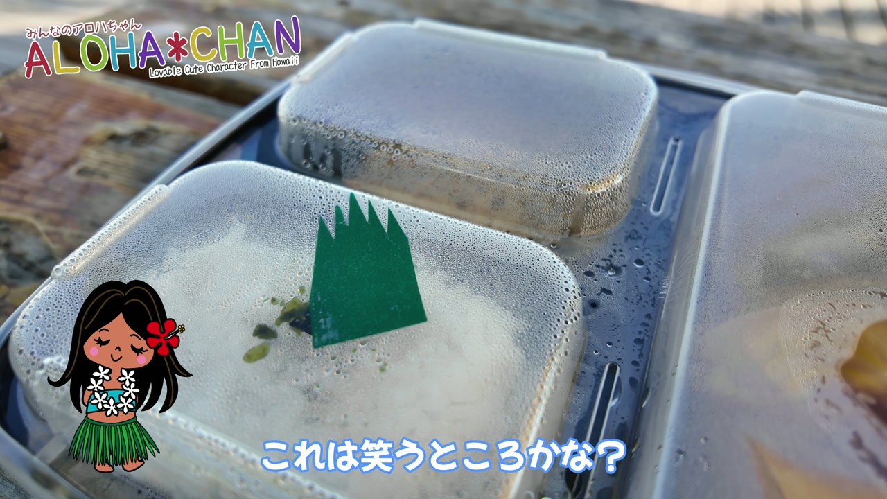 醤油チキン弁当
