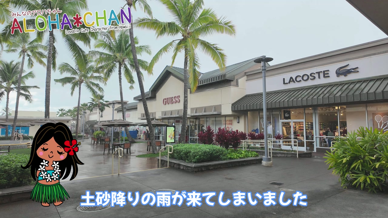 ハワイの通り雨と雨よけ情報
