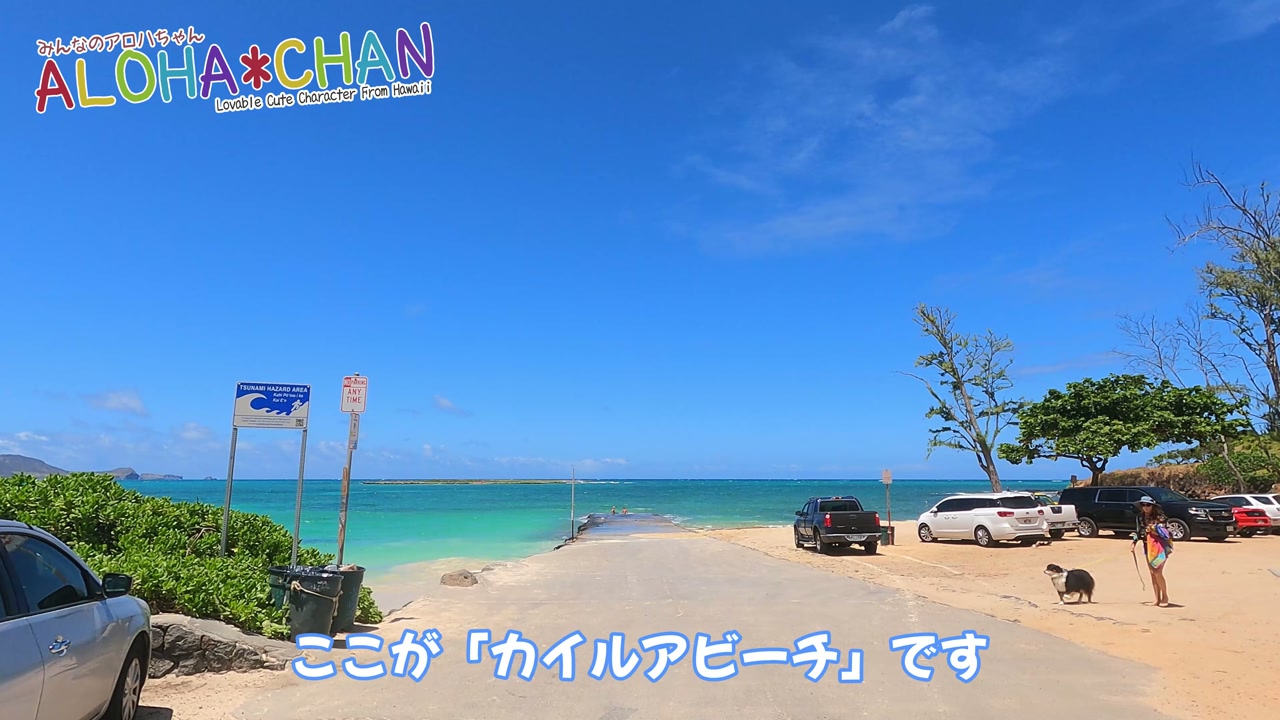着きました!