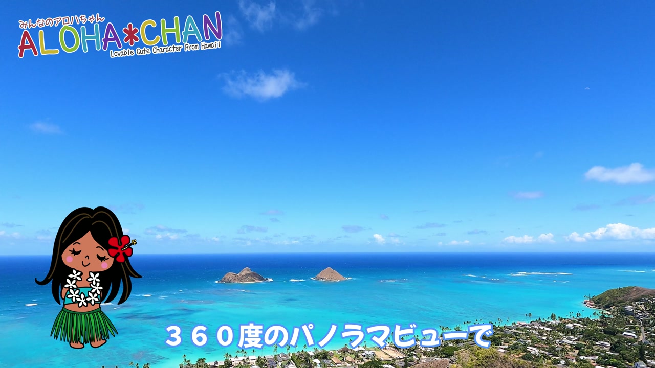 ピルボックスの上は？