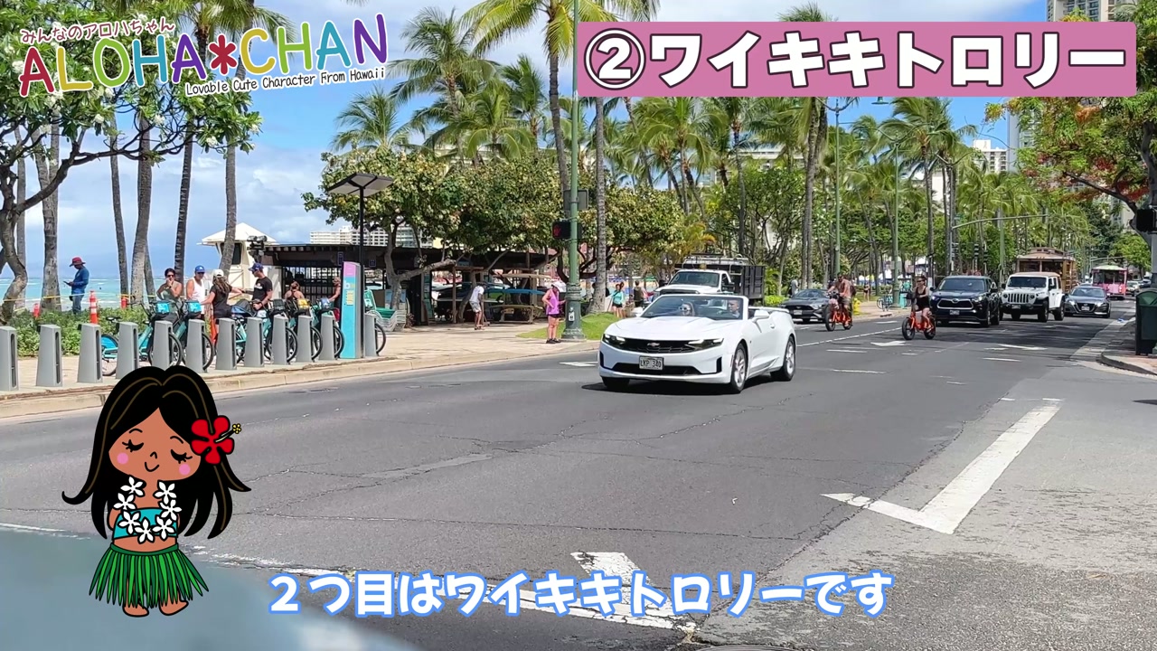 🚍ワイキキトロリー