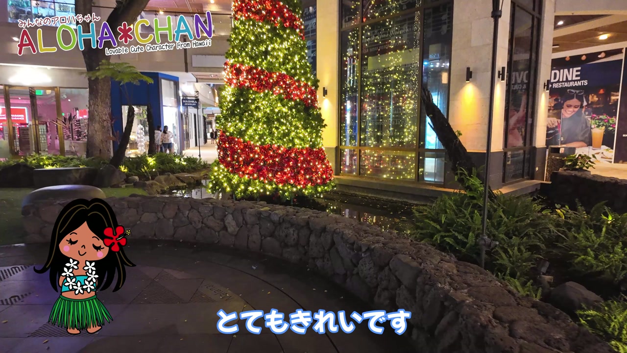 央の広場のクリスマスツリー