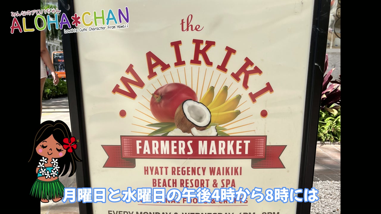 朝一のご紹介