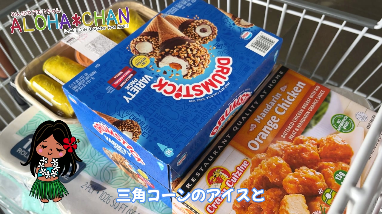 買ったものを紹介と金額発表