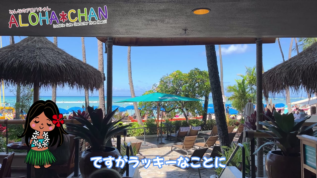海沿いの席へ！絶景ゲット