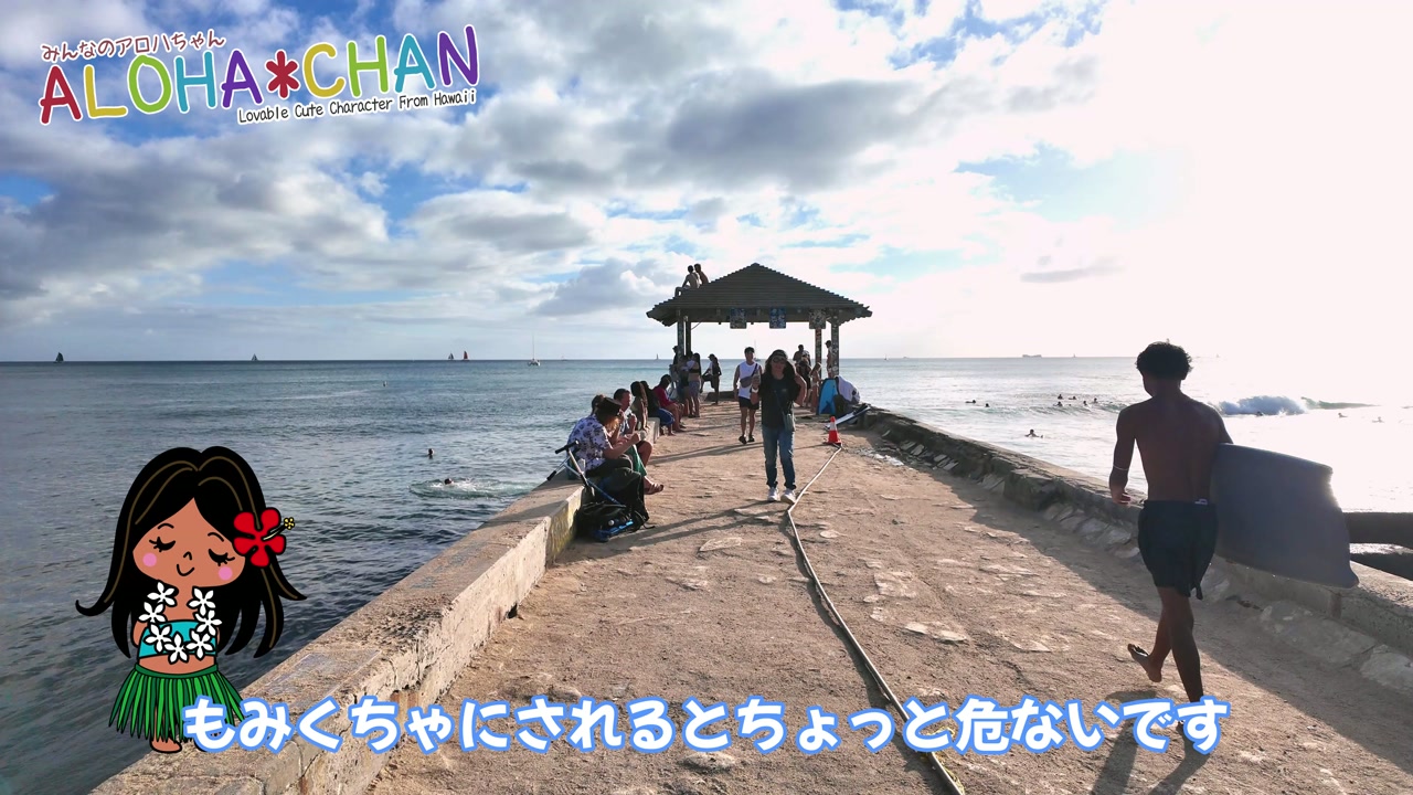 ボディーボード