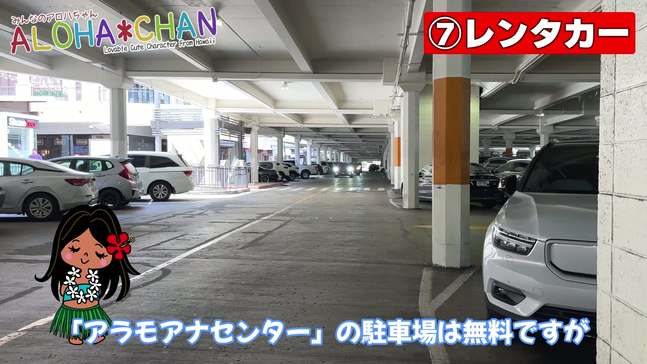 🚘レンタカー