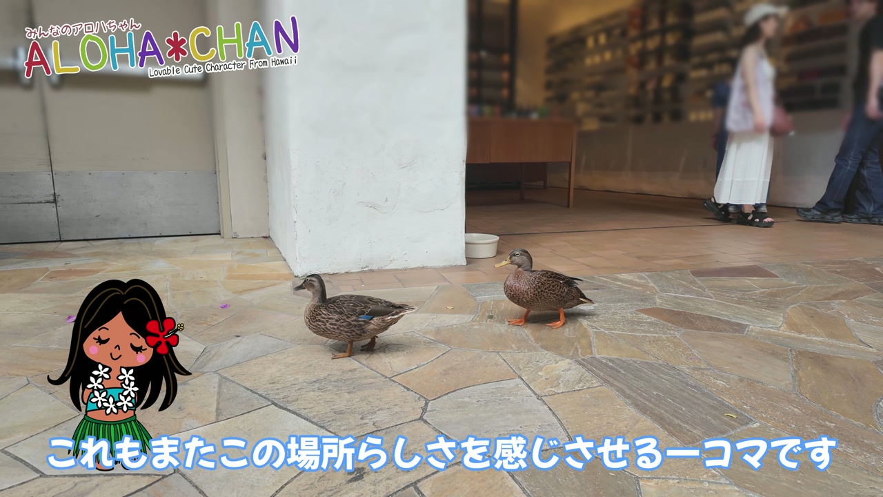 無料フラショー会場「クイーンズコート」