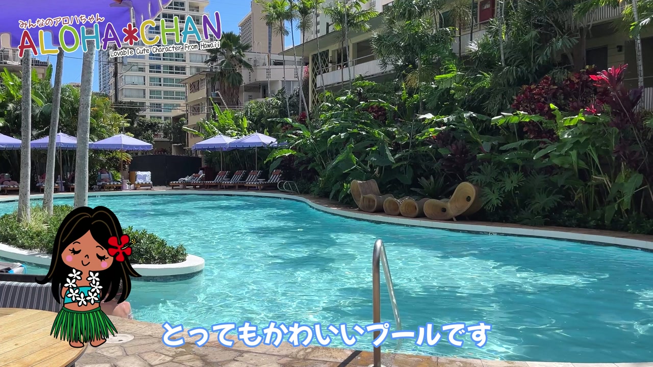ウェイファインダー プール