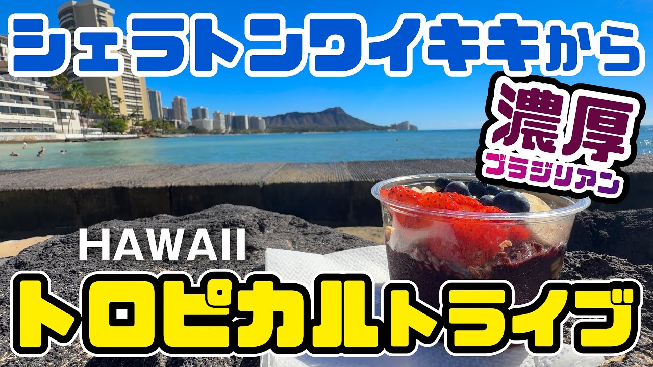 シェラトンワイキキからハワイ一番のアサイーボウル店への行き方と絶景グルメ体験