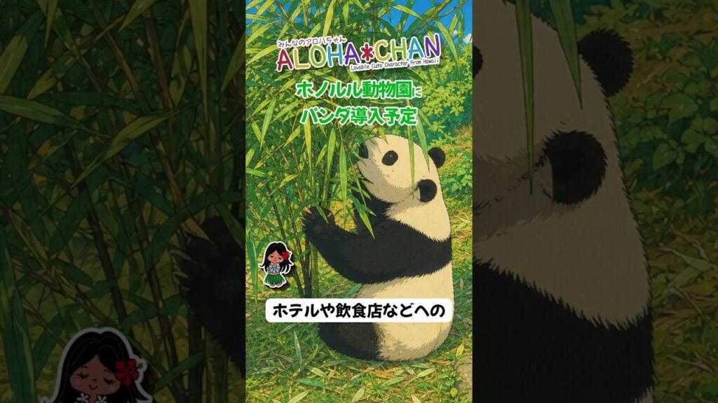 ホノルル動物園にジャイアントパンダがやってくるかもしれない！